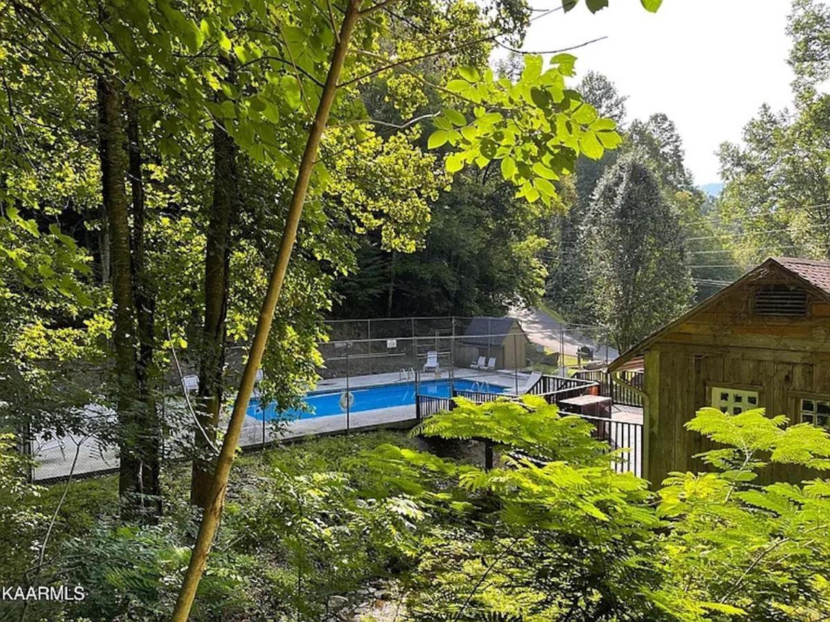 Hawks View Gatlinburg Mountain Cabin Экстерьер фото